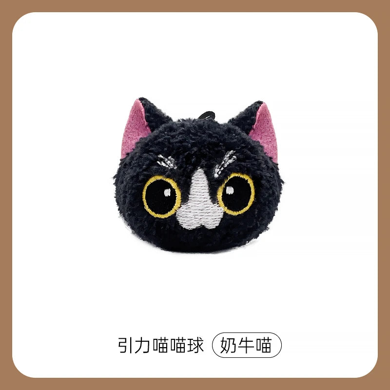main-01.webp