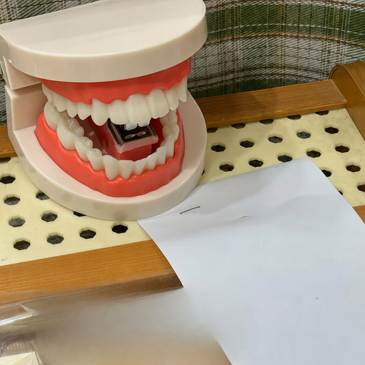 main-01.webp