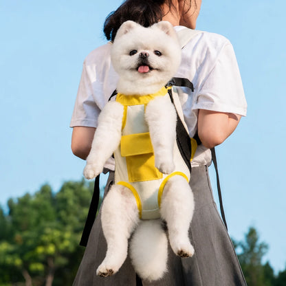 main-03.webp
