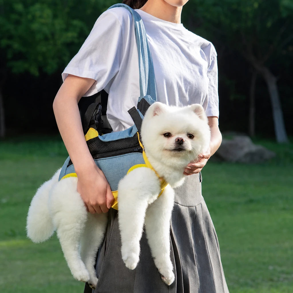 main-04.webp