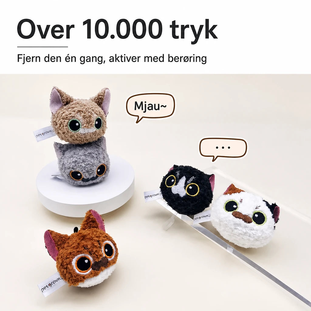 main-05.webp